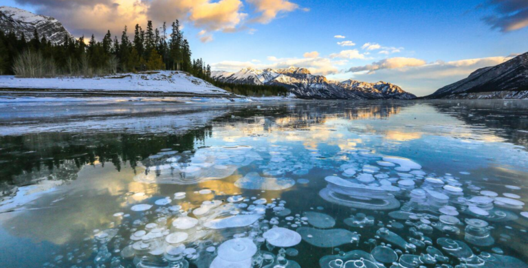 ice bubbles of abraham lake