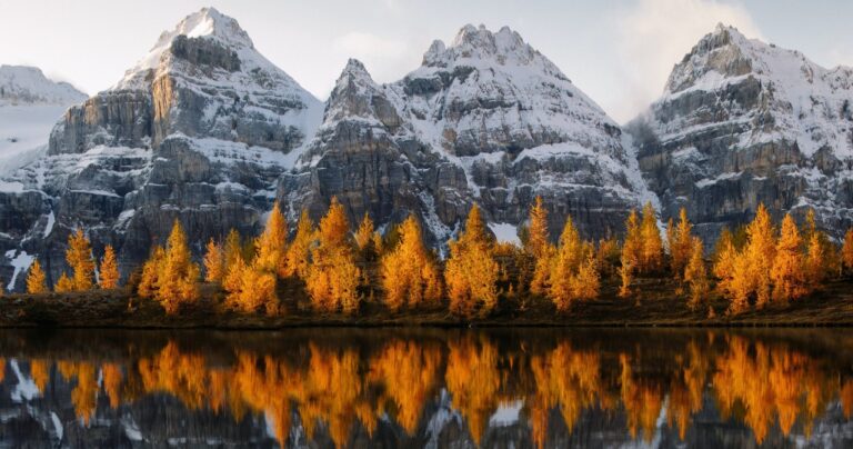 emerald lake during the fall
