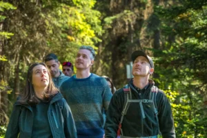 Radventures guide with a small group of guests walking through a forest trail in Banff