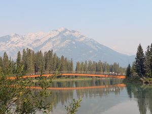 View of the Bow River & mount Norquay, Banff Town