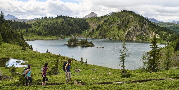 2019_SunshineMeadows_BanffSunshineVillage_DanEvans