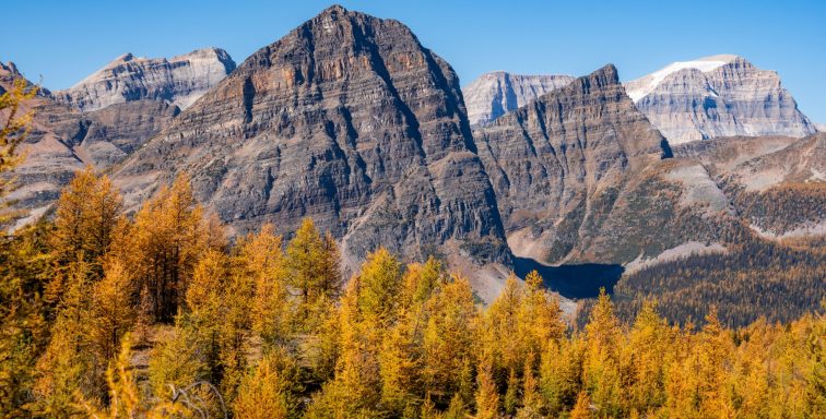 2023_HealyPass_Larch_Hike_RobertMassey (6)