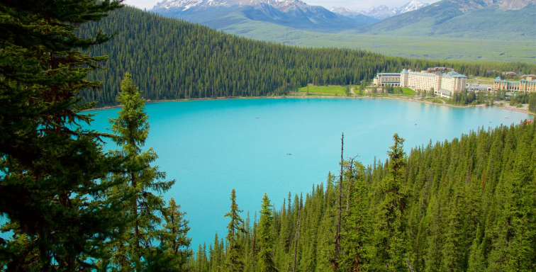 Best of Banff 15
